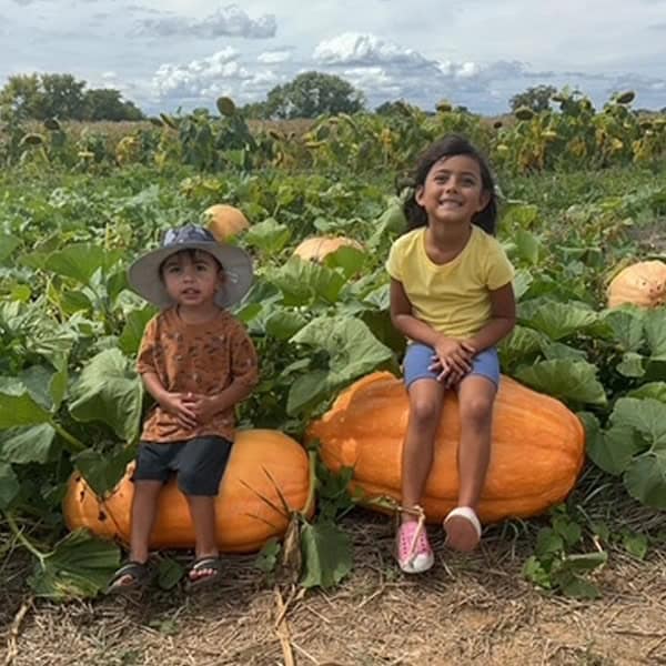 Pumpkin Patch