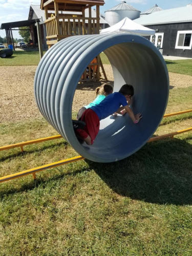 Just Piddlin Farm 2018 (13)