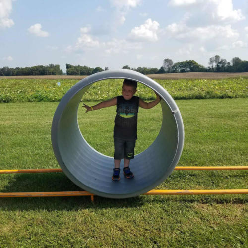 Just Piddlin Farm 2018 (14)