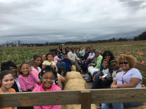 Just Piddlin Farm 2018 (15)