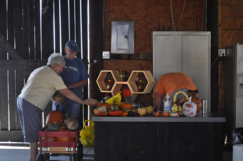 Just Piddlin Farm 2018 (2)