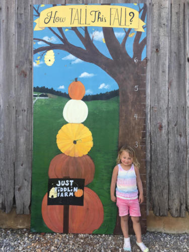 Just Piddlin Farm 2018 (20)