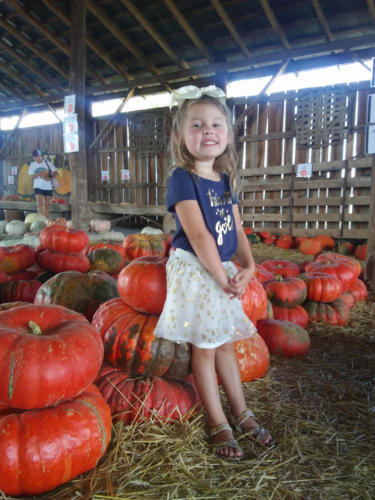 Just Piddlin Farm 2018 (3)