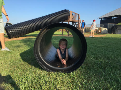 Just Piddlin Farm 2018 (30)