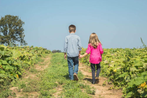 Just Piddlin Farm 2018 (37)