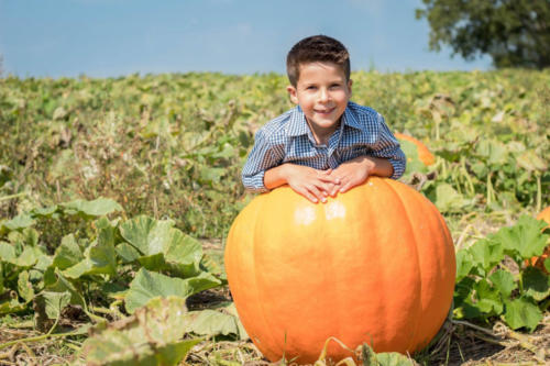 Just Piddlin Farm 2018 (38)