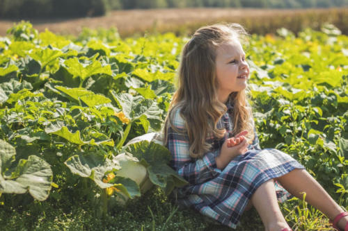 Just Piddlin Farm 2018 (39)