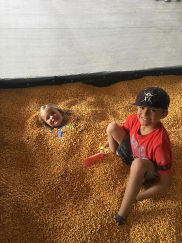 Just Piddlin Farm 2018 (4)