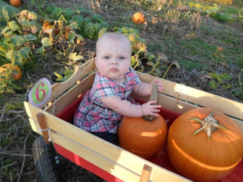 Just Piddlin Farm 2018 (42)