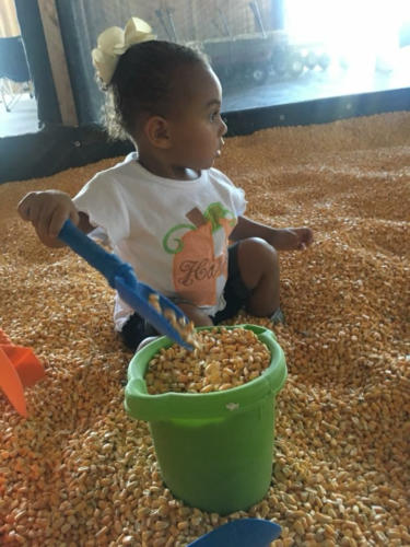 Just Piddlin Farm 2018 (5)