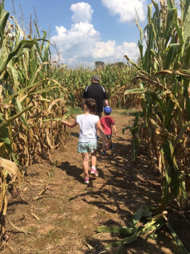 Just Piddlin Farm 2018 (6)