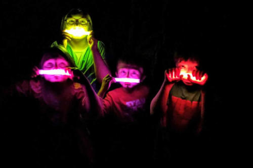 Just Piddlin Farm 2018 (7)