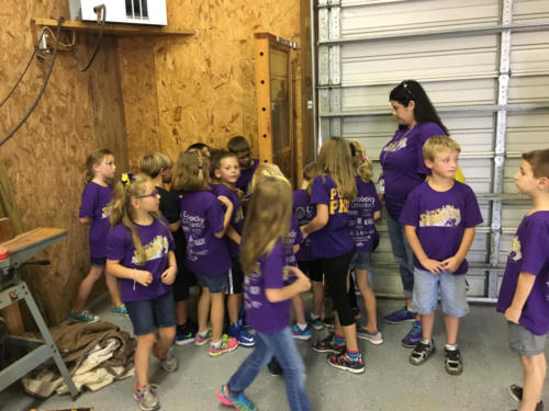 Just Piddlin Farm 2018 (8)