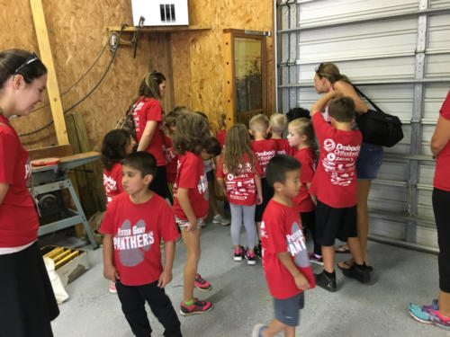 Just Piddlin Farm 2018 (9)