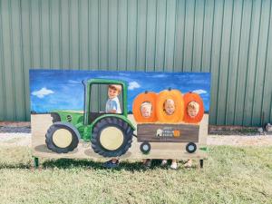 family activities fall