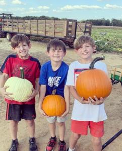 Pumpkin Patch 